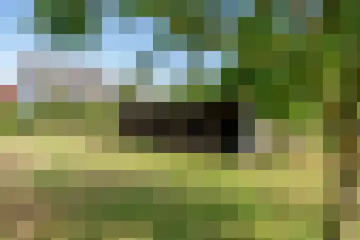 Ganzert 45 Ingen thumbnail 18
