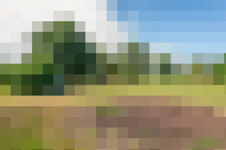 Ganzert 45 Ingen thumbnail 19