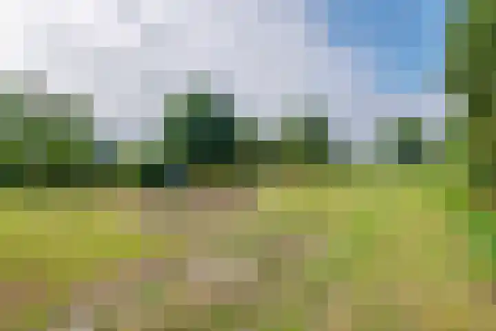 Ganzert 45 Ingen thumbnail 20