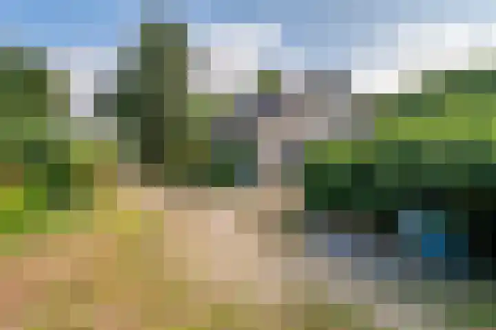 Ganzert 45 Ingen thumbnail 21