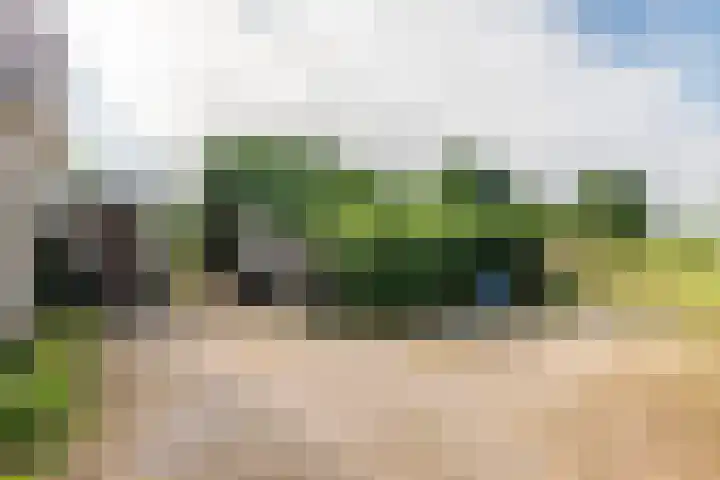 Ganzert 45 Ingen thumbnail 22
