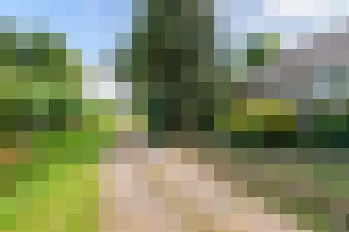 Ganzert 45 Ingen thumbnail 23
