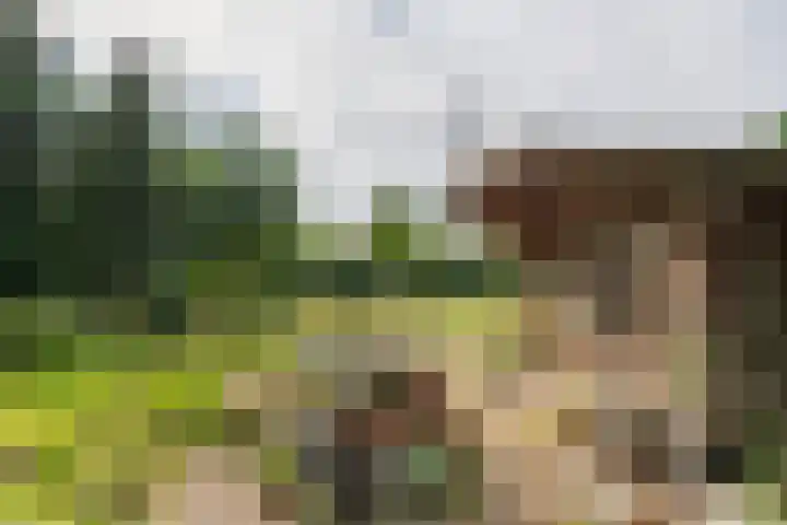 Ganzert 45 Ingen thumbnail 25