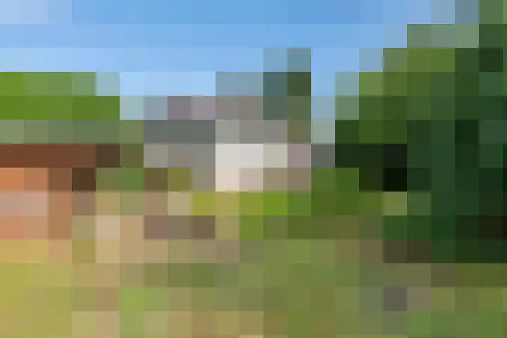 Ganzert 45 Ingen thumbnail 26