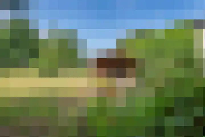 Ganzert 45 Ingen thumbnail 27