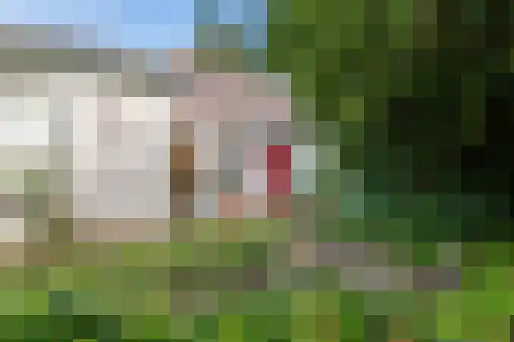 Ganzert 45 Ingen thumbnail 28