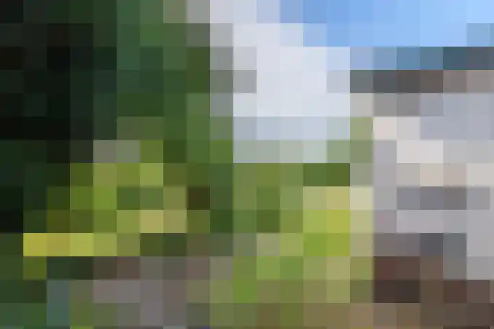 Ganzert 45 Ingen thumbnail 29