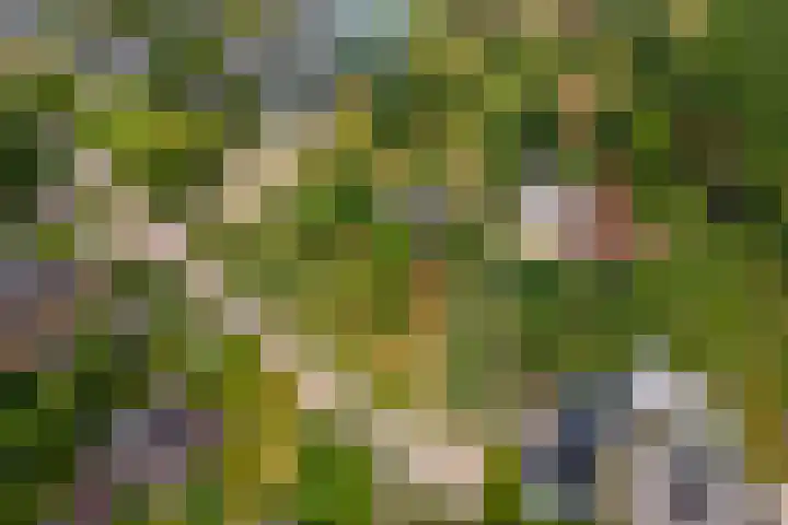 Ganzert 45 Ingen thumbnail 30