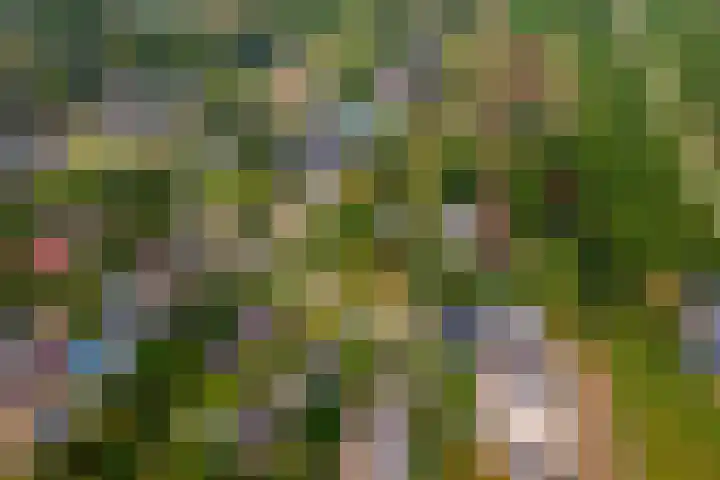 Ganzert 45 Ingen thumbnail 31