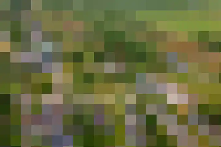 Ganzert 45 Ingen thumbnail 32