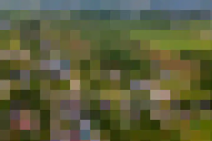 Ganzert 45 Ingen thumbnail 33