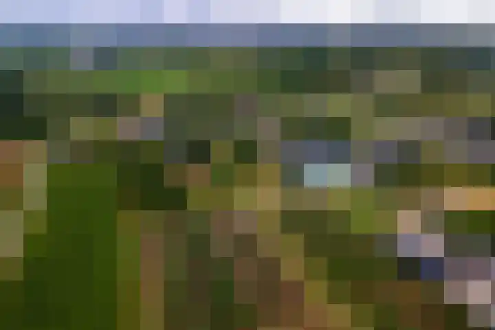 Ganzert 45 Ingen thumbnail 38