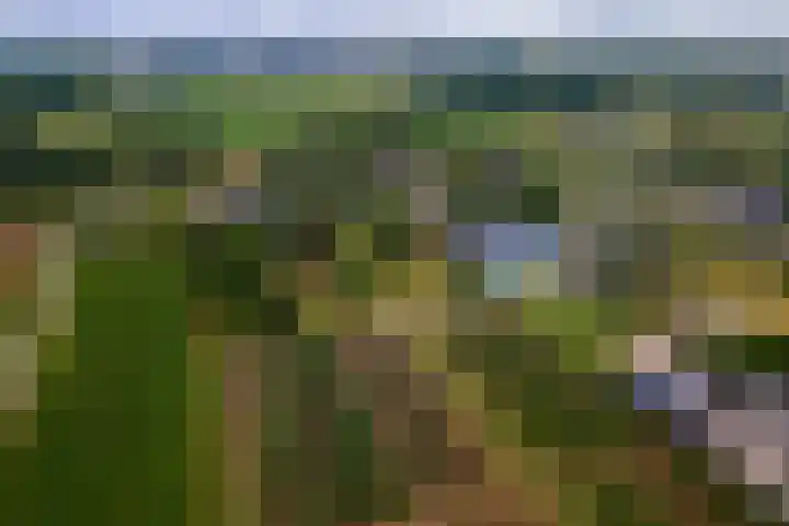Ganzert 45 Ingen thumbnail 39