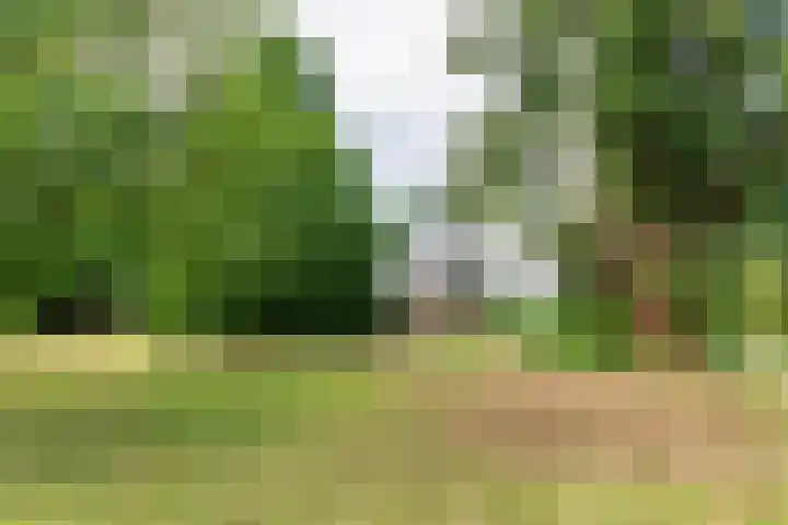 Ganzert 45 Ingen thumbnail 4