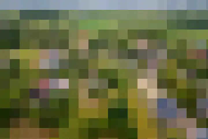 Ganzert 45 Ingen thumbnail 40
