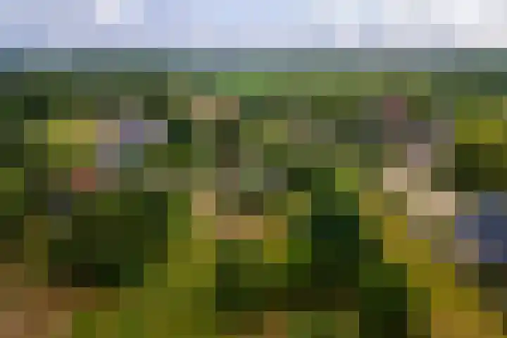 Ganzert 45 Ingen thumbnail 41