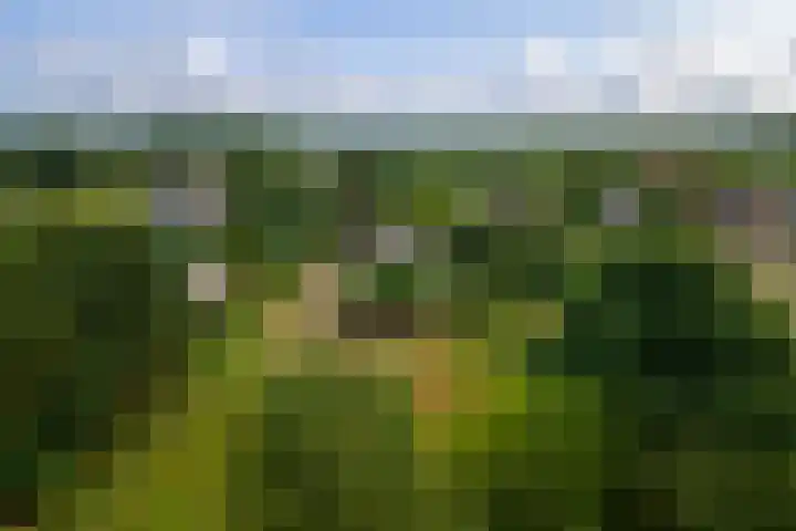 Ganzert 45 Ingen thumbnail 43