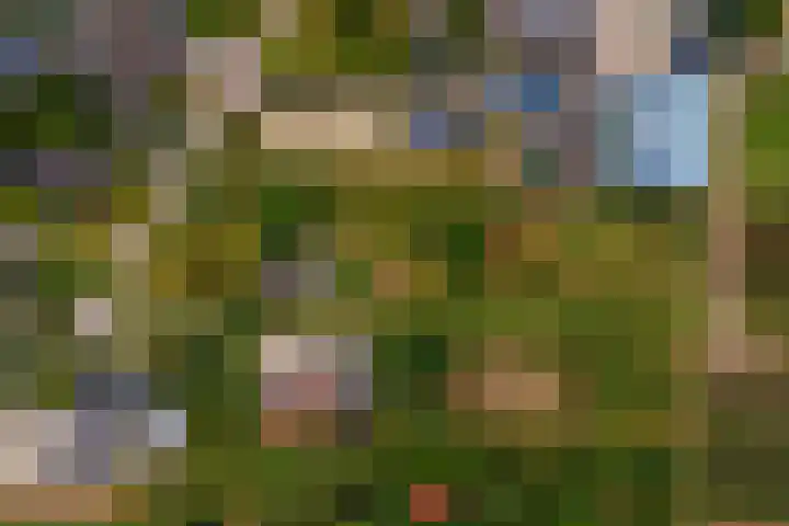 Ganzert 45 Ingen thumbnail 44