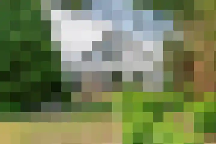 Ganzert 45 Ingen thumbnail 6