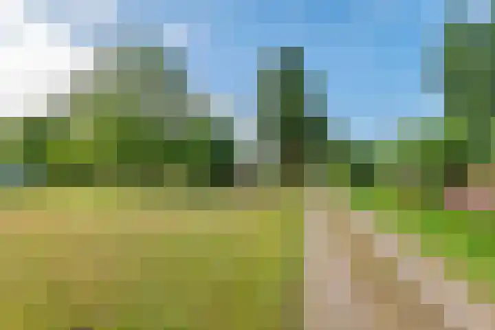 Ganzert 45 Ingen thumbnail 7