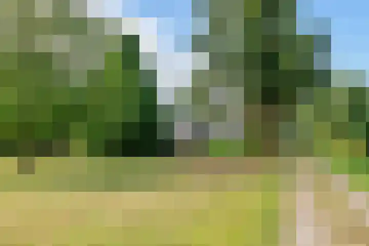 Ganzert 45 Ingen thumbnail 8