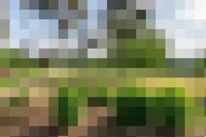 Ganzert 45 Ingen thumbnail 9