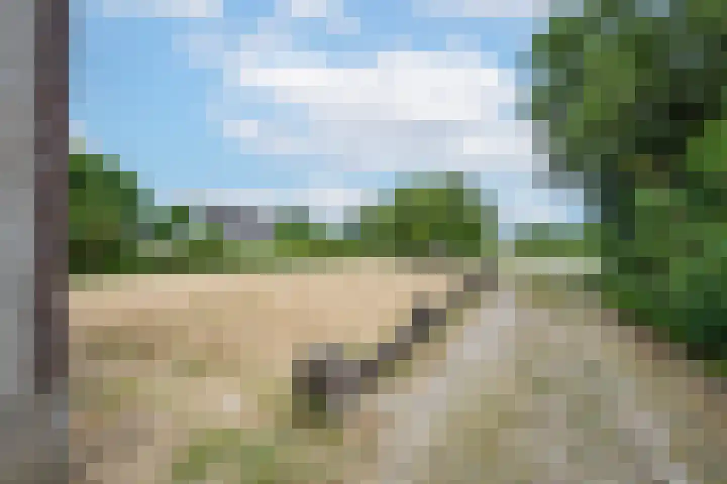 Ganzert 9 Ingen thumbnail 11