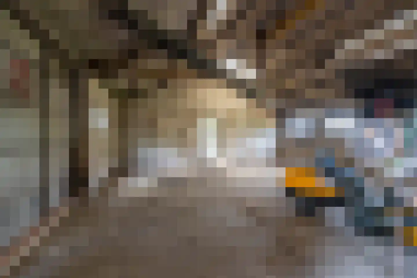 Ganzert 9 Ingen thumbnail 20