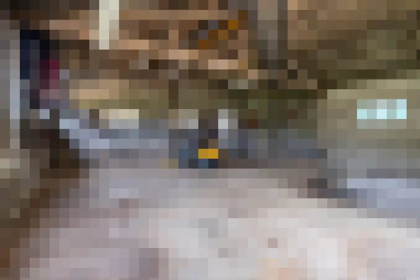 Ganzert 9 Ingen thumbnail 21