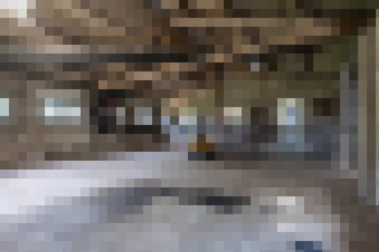 Ganzert 9 Ingen thumbnail 22