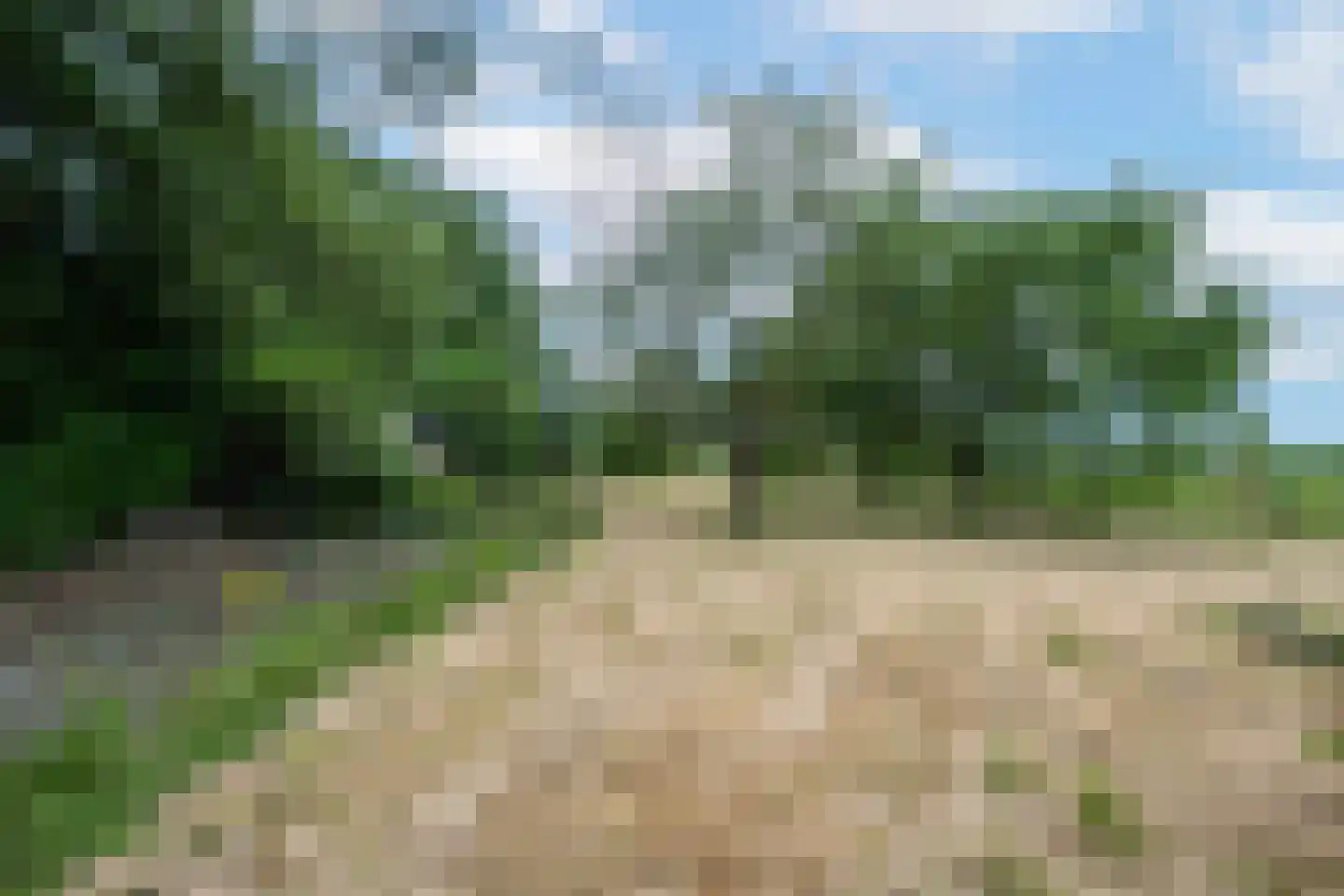 Ganzert 9 Ingen thumbnail 23
