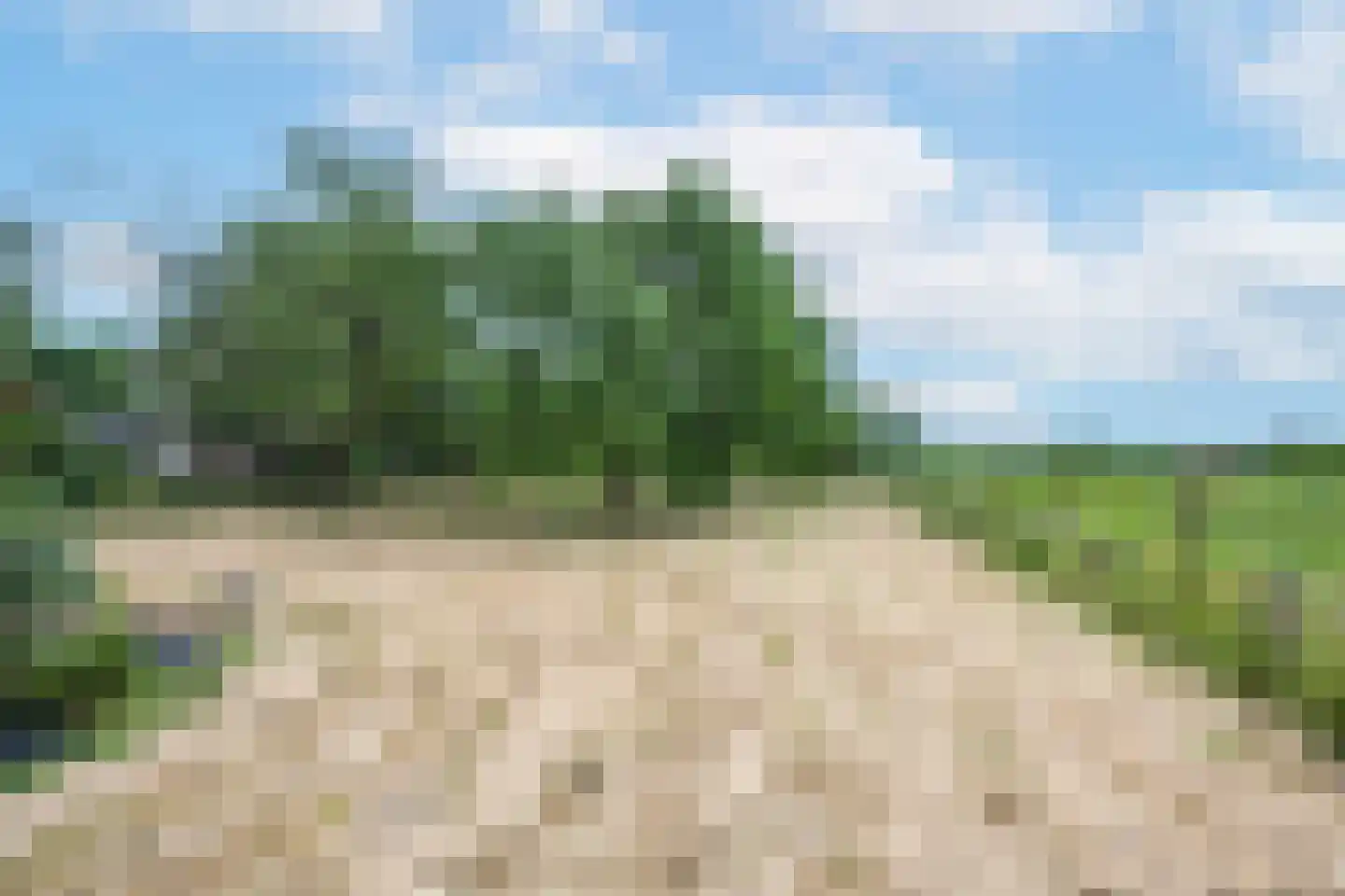 Ganzert 9 Ingen thumbnail 26
