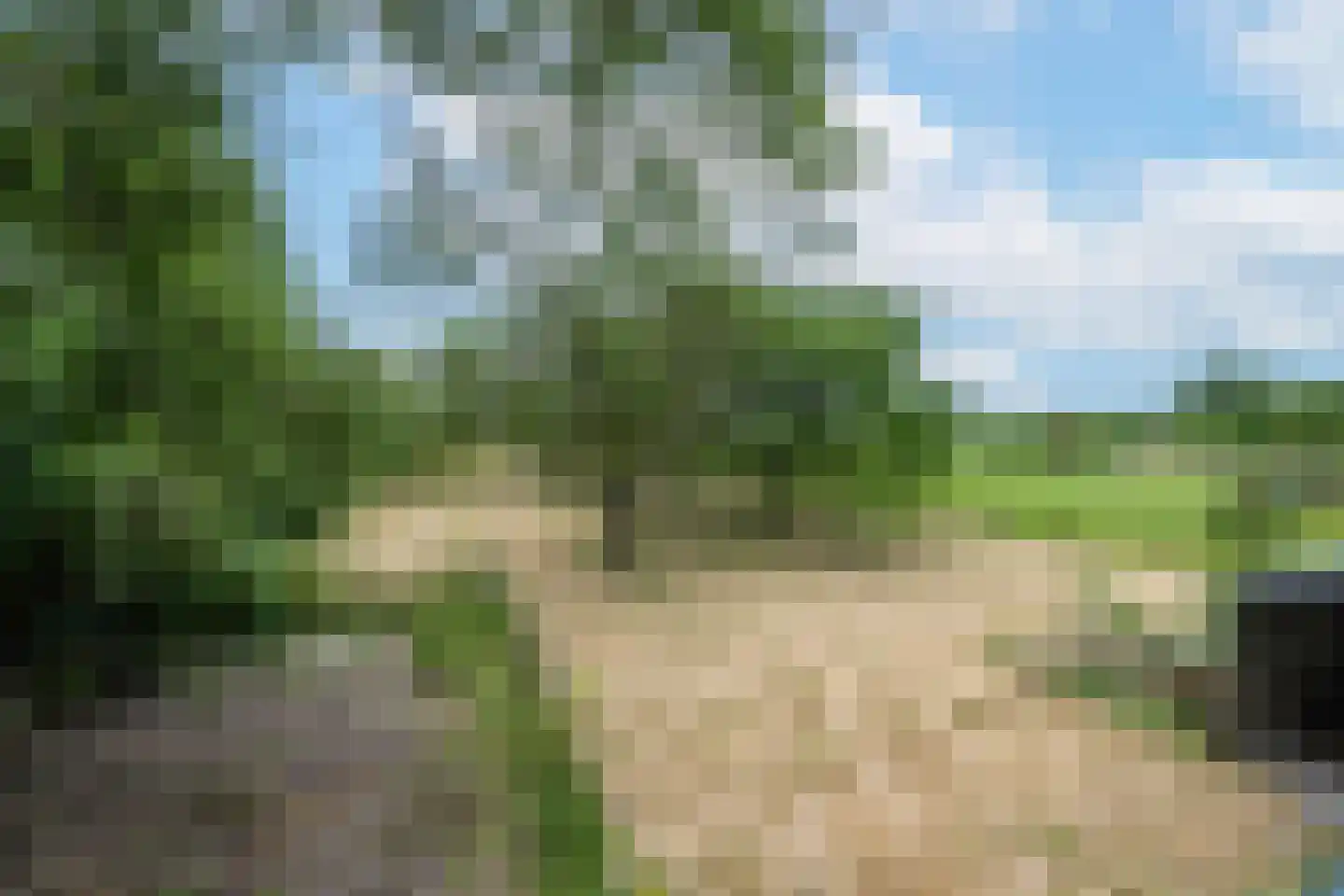Ganzert 9 Ingen thumbnail 27