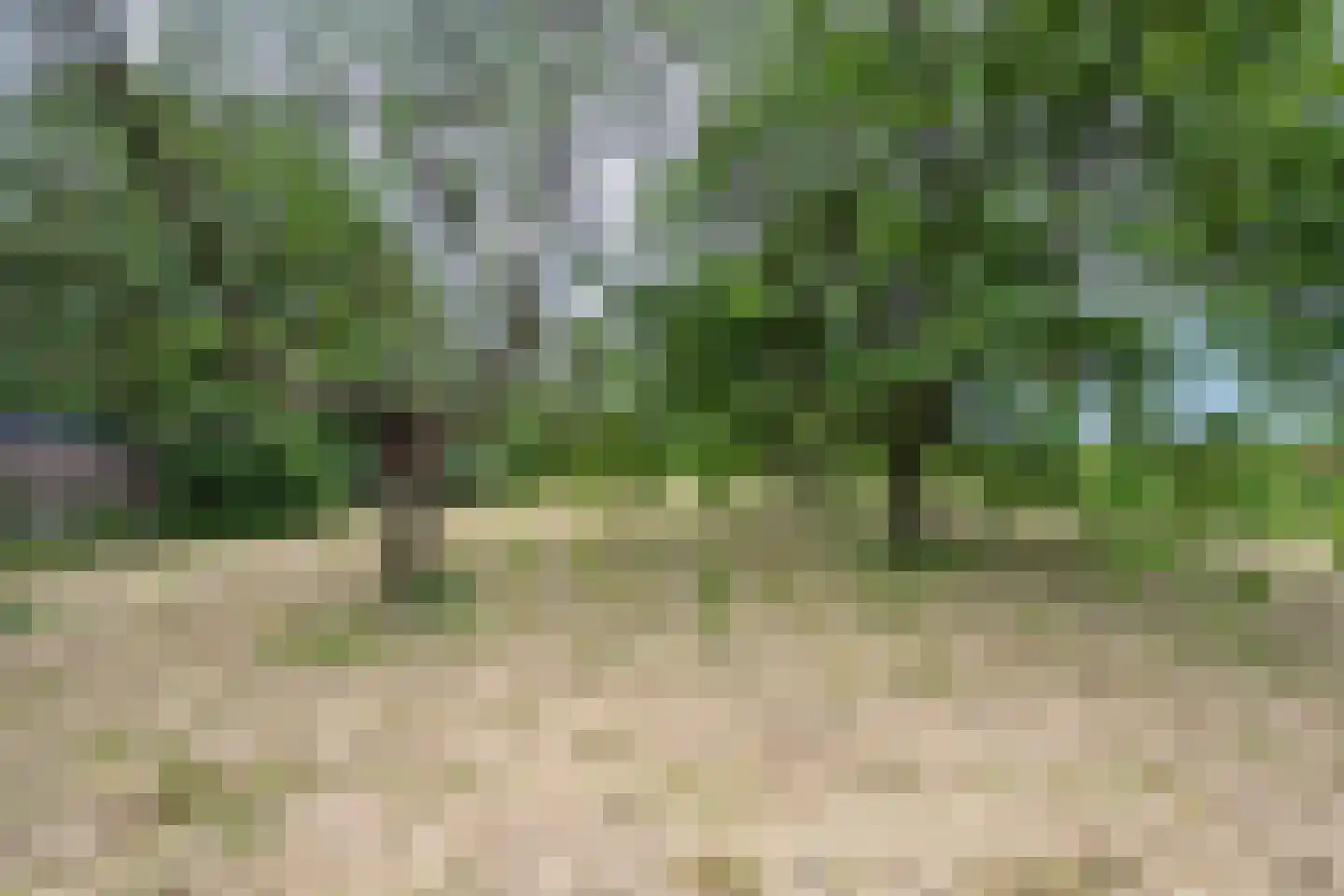 Ganzert 9 Ingen thumbnail 28