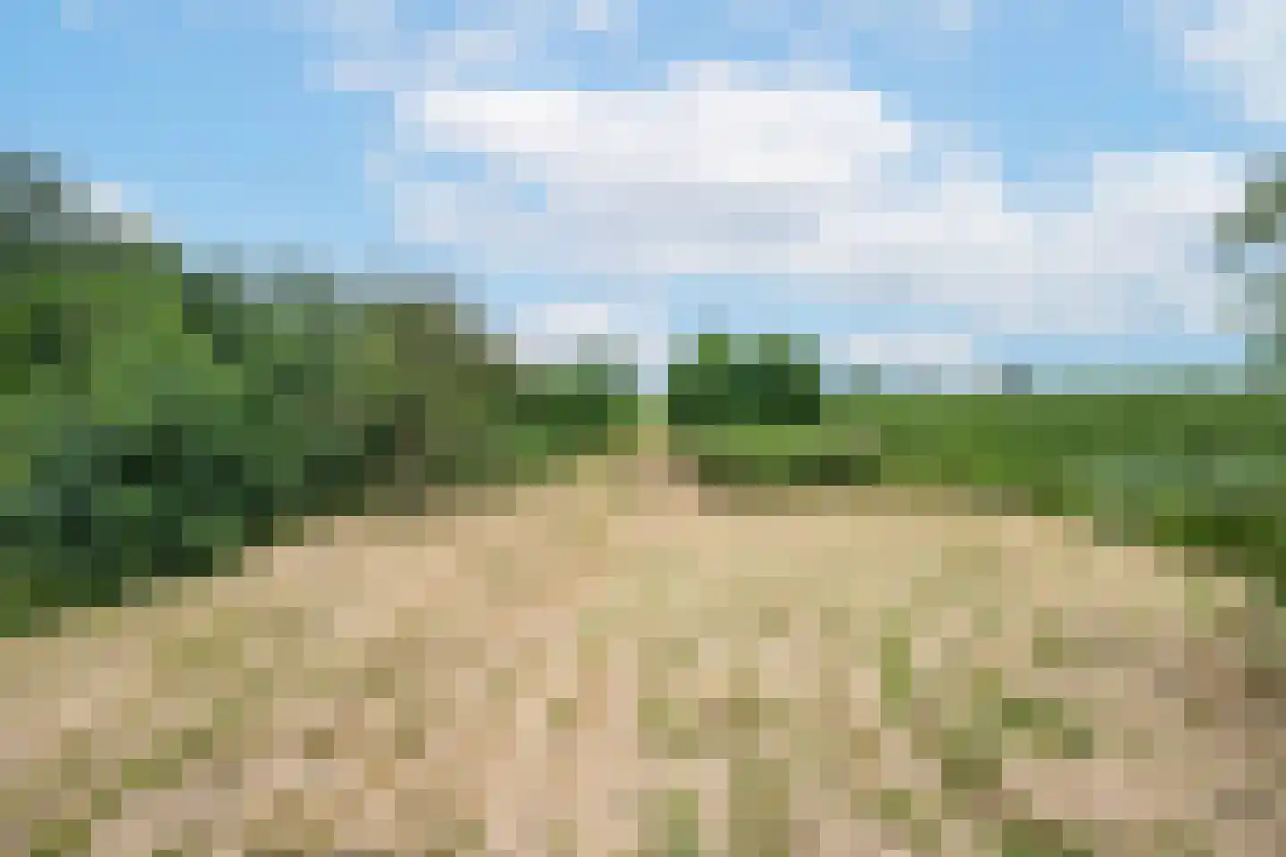 Ganzert 9 Ingen thumbnail 29