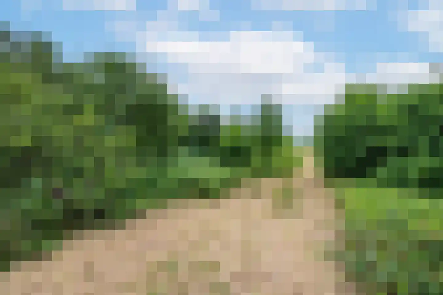 Ganzert 9 Ingen thumbnail 30