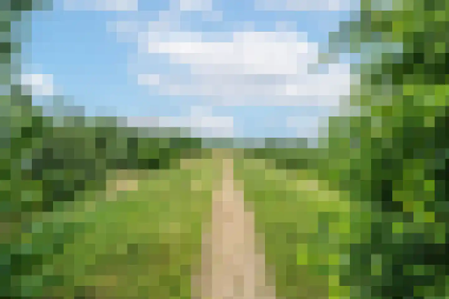 Ganzert 9 Ingen thumbnail 31