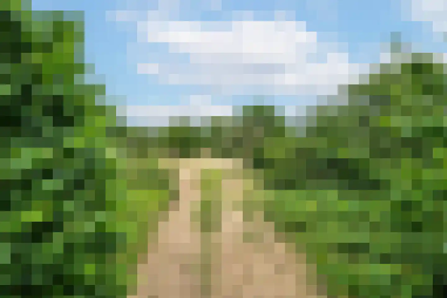 Ganzert 9 Ingen thumbnail 32