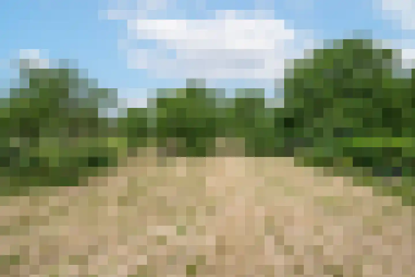 Ganzert 9 Ingen thumbnail 33