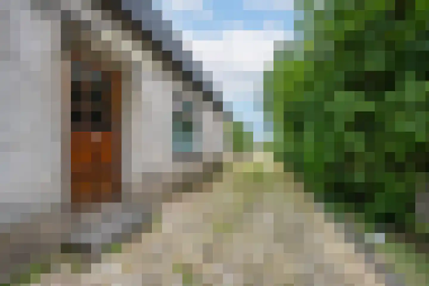 Ganzert 9 Ingen thumbnail 35