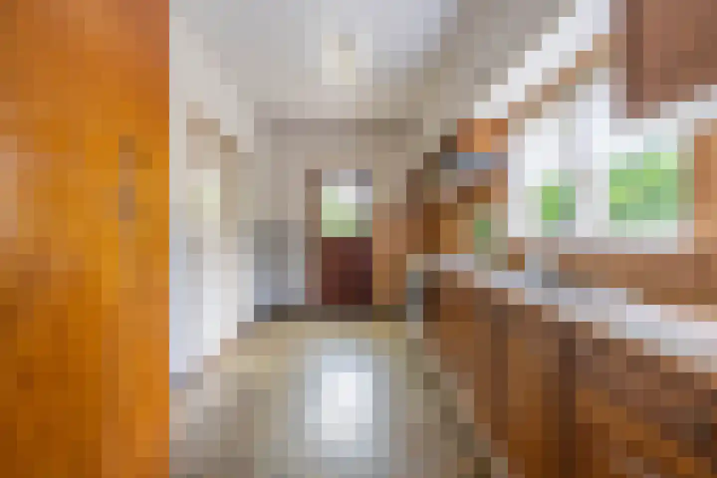 Ganzert 9 Ingen thumbnail 37
