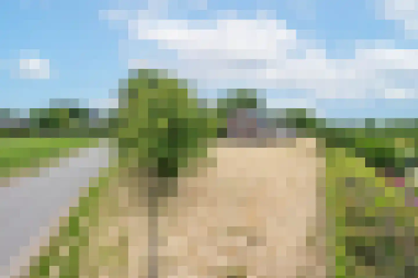 Ganzert 9 Ingen thumbnail 4