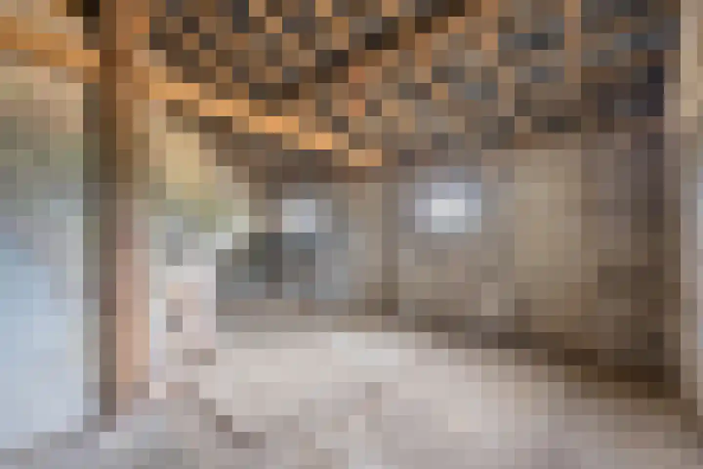 Ganzert 9 Ingen thumbnail 49