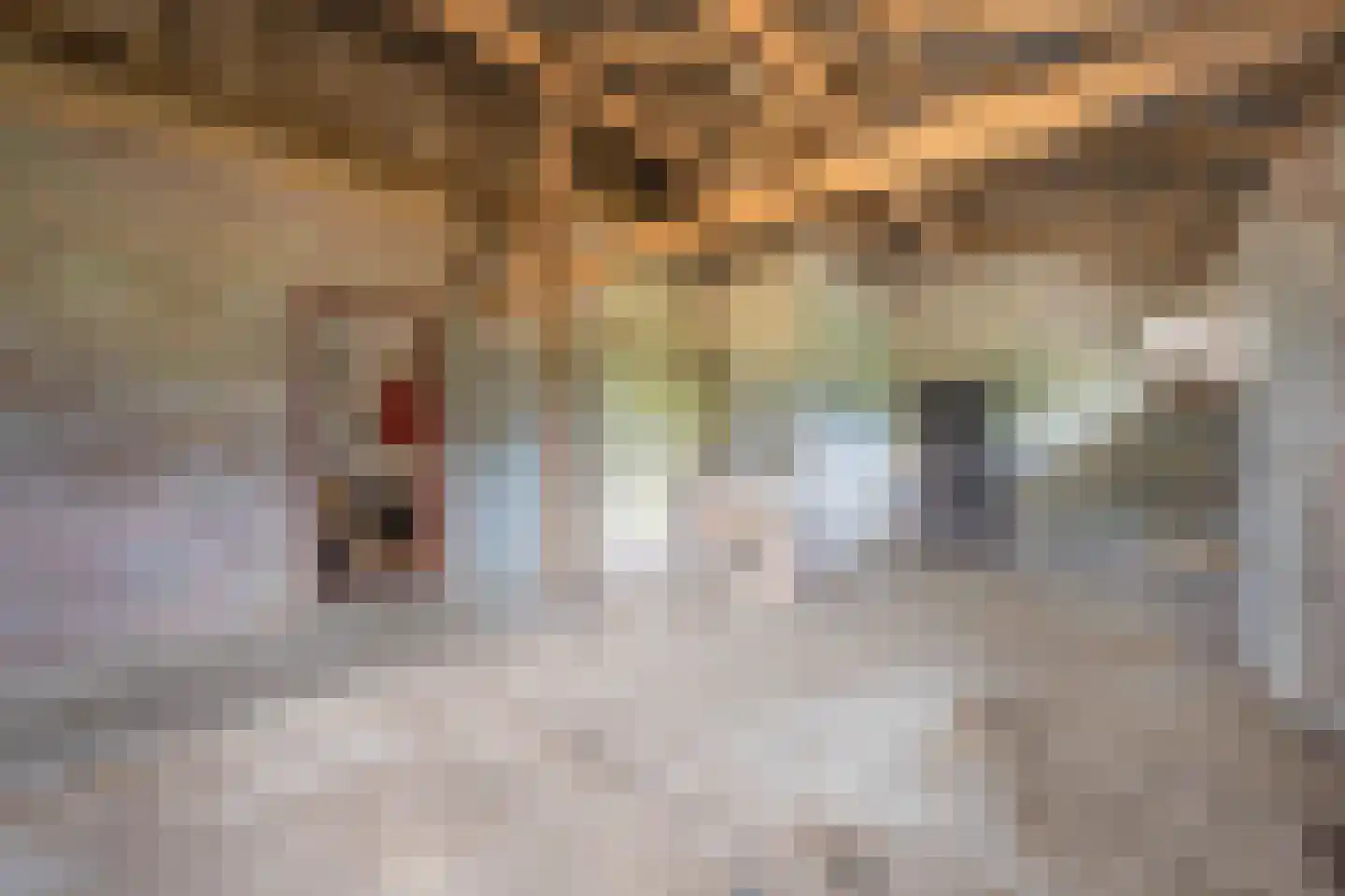 Ganzert 9 Ingen thumbnail 50
