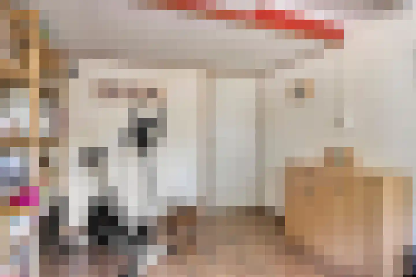 Ganzestraat 11 Heinkenszand thumbnail 23