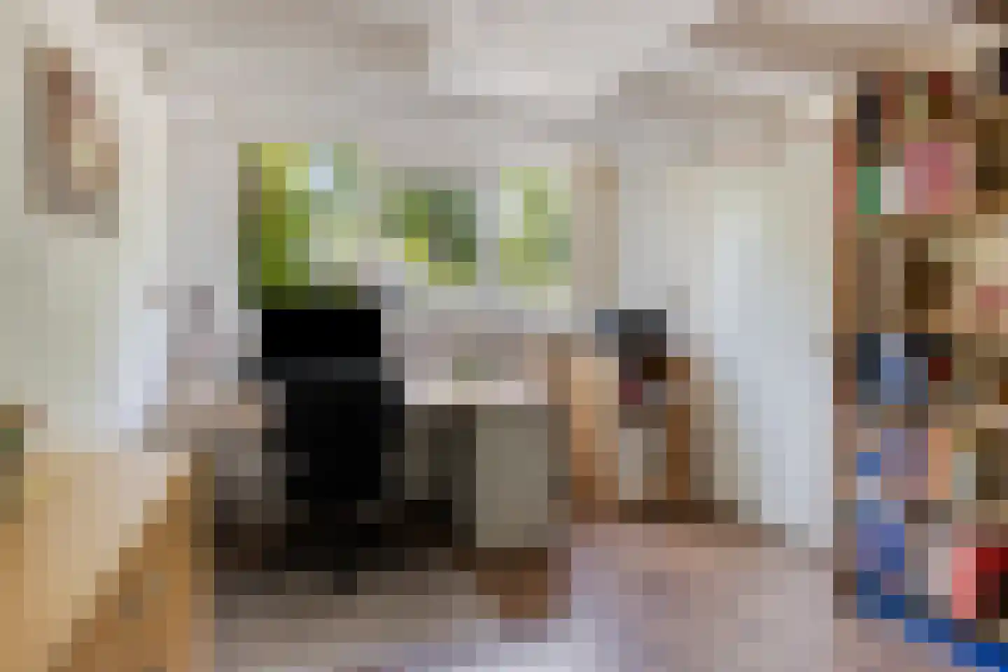 Ganzestraat 11 Heinkenszand thumbnail 24