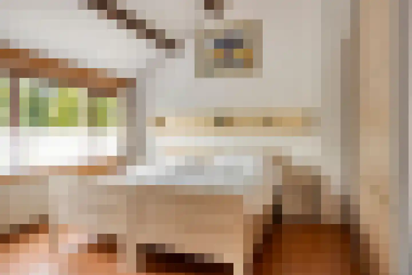 Ganzestraat 11 Heinkenszand thumbnail 27