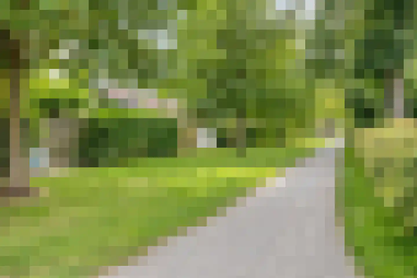 Ganzestraat 11 Heinkenszand thumbnail 51