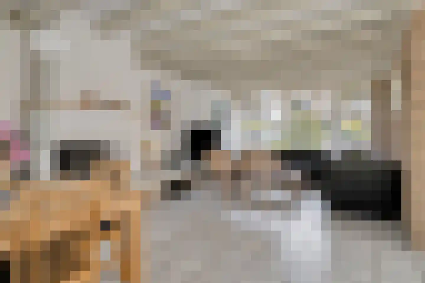 Ganzestraat 11 Heinkenszand thumbnail 9