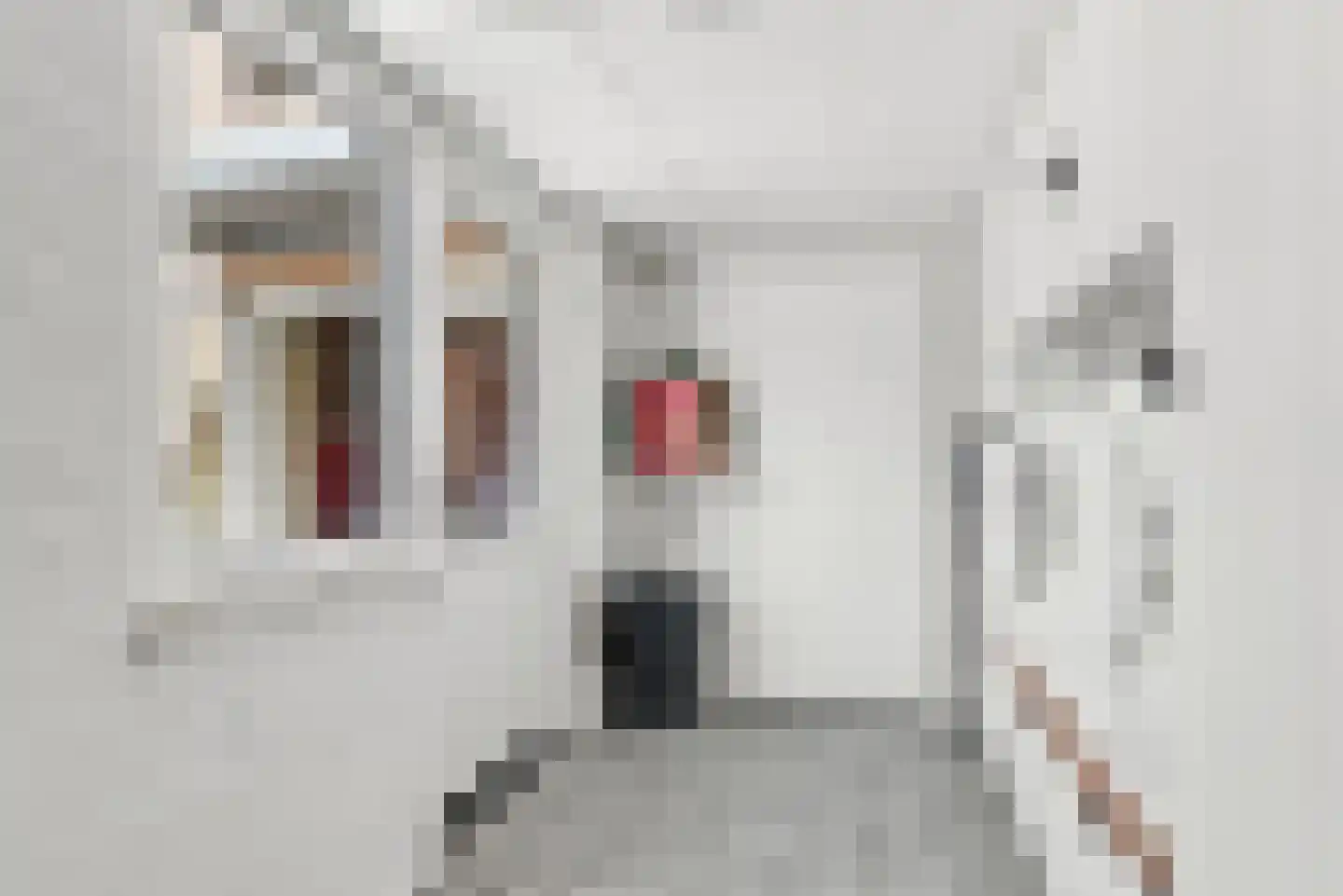 Ganzestraat 12 Heinkenszand thumbnail 10